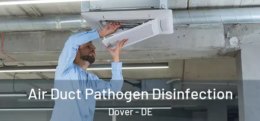  Air Duct Pathogen Disinfection Dover - DE