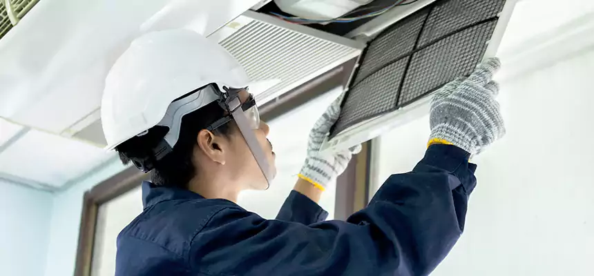 Our Mold & Mildew Removal from Air Ducts Services in Dover, DE