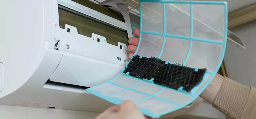 Gentle Ductwork Odor-Control Pet Dander Duct Cleaning in Dover, DE