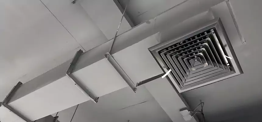 Our Rodent Droppings In Vents Services in Dover, DE