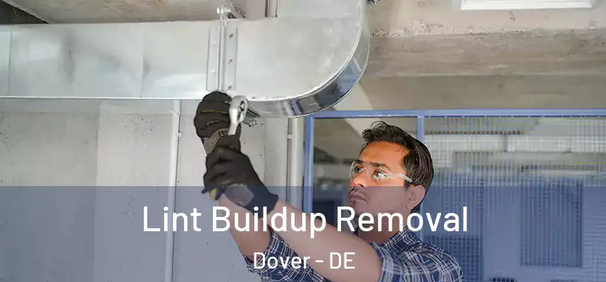  Lint Buildup Removal Dover - DE