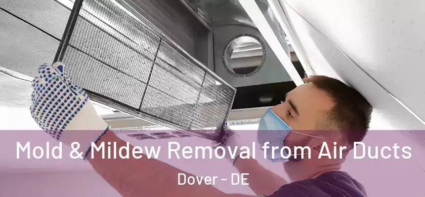  Mold & Mildew Removal from Air Ducts Dover - DE
