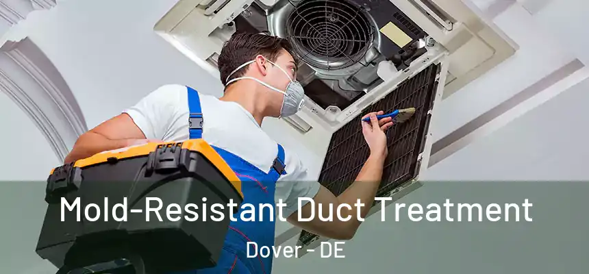  Mold-Resistant Duct Treatment Dover - DE