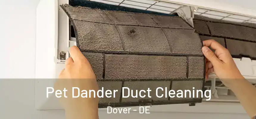  Pet Dander Duct Cleaning Dover - DE