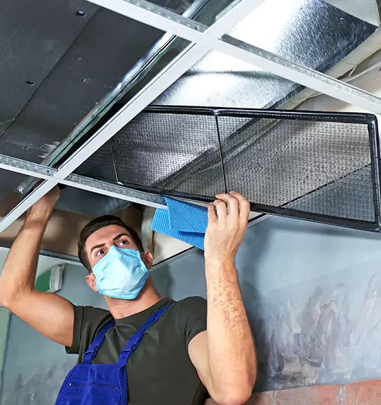 Professional Air Duct Pollen Cleaning in Dover, DE
