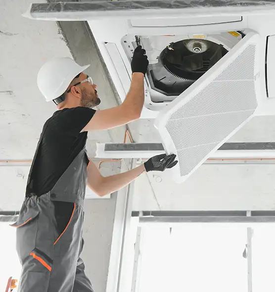 About Air Duct Rodent Removal in Dover, DE