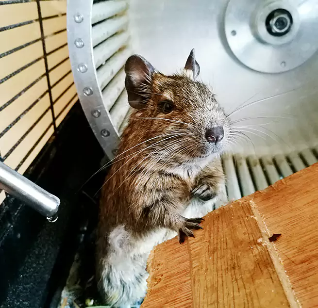 Why Homeowners & Businesses Trust Us Dover, DE?