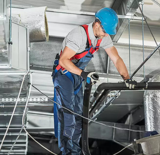 Why Homeowners & Businesses Trust Us in Dover, DE?