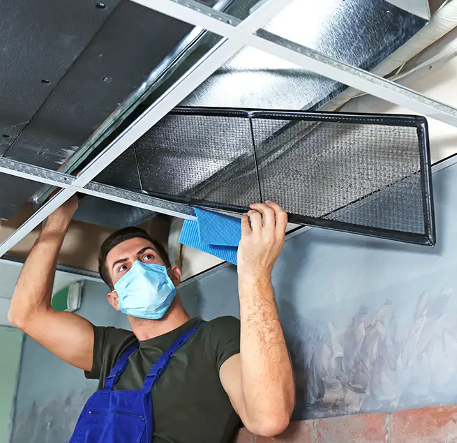 Why Homeowners & Businesses Trust Us in Dover, DE?