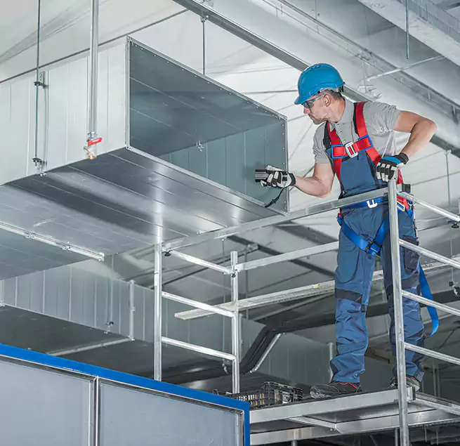 Why Homeowners & Businesses Trust Us in Dover, DE?